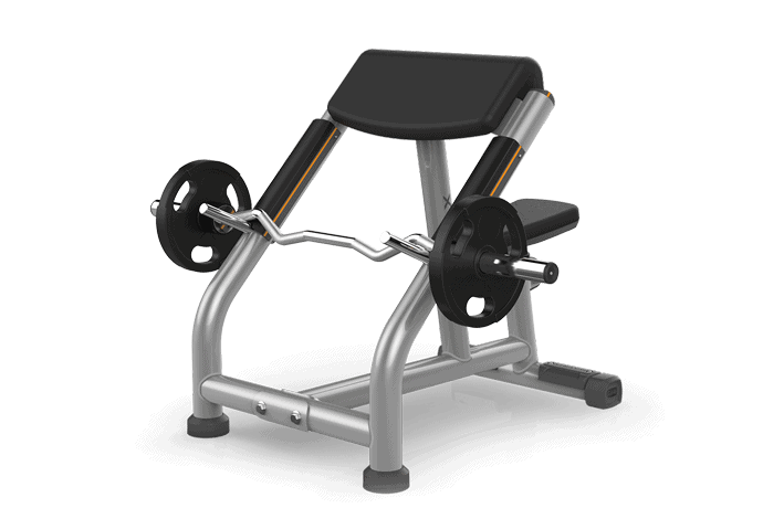 Preacher Curl Bench